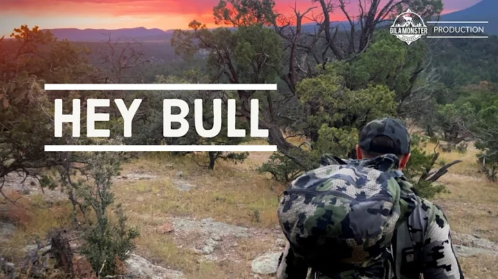 Archery Elk - HEY BULL - Hunting Elk in Peak Rut