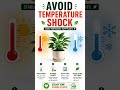 Your Plants Need This 🌱 #facts #viral #trending #plantcare #plantgoals #plantlov #plantlife #plants