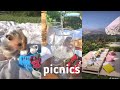 adorable pinterest picnics! kind of cottagecore