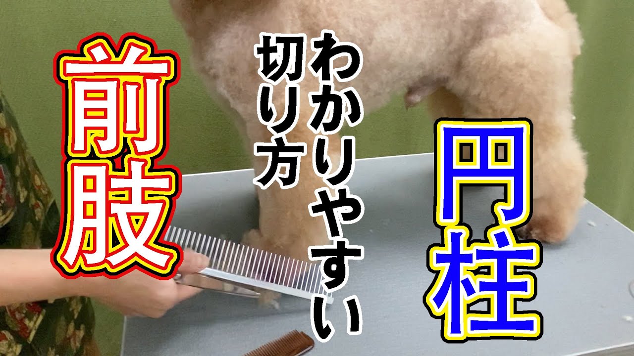 #75 【前足】円柱の切り方