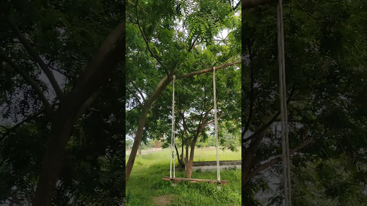 ২৮ মে, ২০২৫