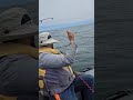 Ayudando a sacar el Mounstro del agua bonito 4kg