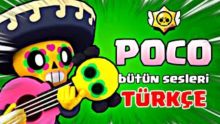 POCO BÜTÜN SESLERİ TÜRKÇE ANLAMI - Brawl Stars Resimi