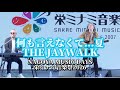 【懐かし過ぎる名曲... 】何も言えなくて...夏/THE JAYWALK 栄ミナミ音楽祭2026