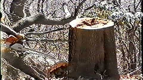 Spigelmyer Helicopter Logging Part 6