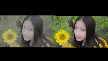 Fuji Xt2 f-log Color Grading test