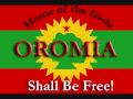new 2018 Oromo music kadir said ABO