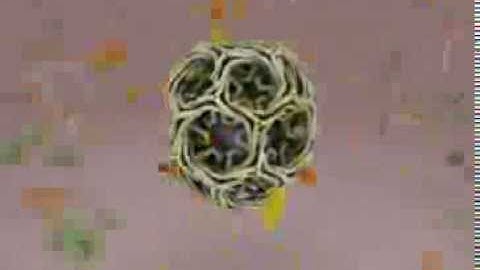 A Molecular Animation: TED Fellow Janet Iwasa