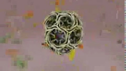 A Molecular Animation: TED Fellow Janet Iwasa