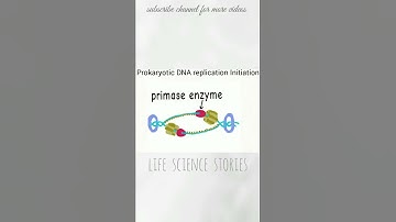 DNA replication in Prokaryotes | Intiation Animation | CSIR UGC NET Life Science