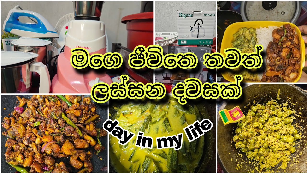 මේ ගානට ලාබයිද පාඩුද🤔😲srilankan daily life vlog❤️