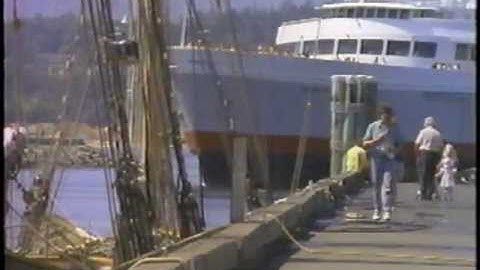 David Foster - "Water Fountain" / "Conscience" - Official Video