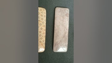 Petrified Coral Fossil - Cabochons -  Indonesia