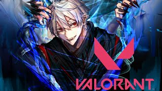 【Valorant】ひまつびし【 など】