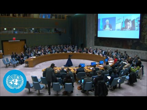 Humanitarian solutions in the gaza-israel crisis: un security council briefing | united nations