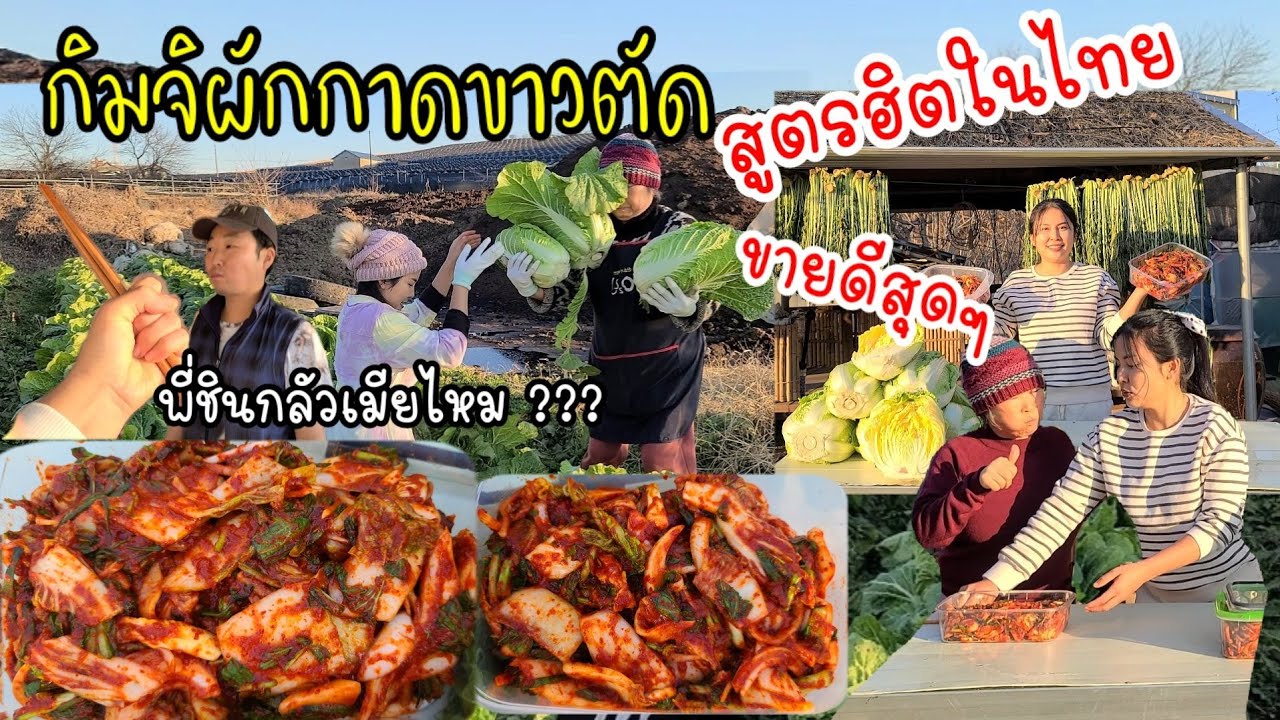 ЕР.594 Рецепт кимчи (нарезанный по типу). Очень популярен в Таиланде!