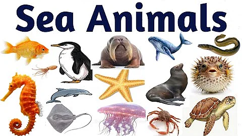 Sea Animals for Kids | Learn Ocean Animal Names in English with Sounds and Pictures | Marine Life