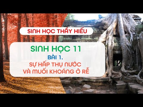 Video GIÁO ÁN ĐIỆN TỬ - Sự hấp thụ nước và muối khoáng ở rễ... - YouTube