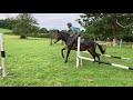 Mule course jumping