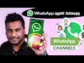 WhatsApp Channels