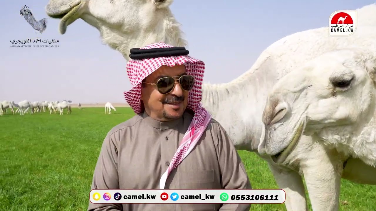 مرعبات الوضح ومالكها رجل الأعمال/أحمد التويجري في اول ظهور تعلن التواجد