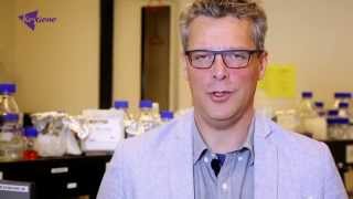 Sequence-Based Genotyping - genotyping made easy