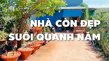 Bán nhà vườn đẹp 2725m2 cây trái xum xuê ở Xà Bang suối quanh năm