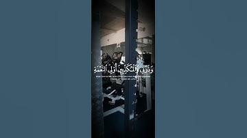 واصبر على ما يقولون واهجرهم هجرا جميلا المزمل الآية ١٠