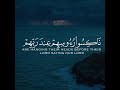 ولو ترى إذ المجرمون ناكسوا رءوسهم عند ربهم ربنا أبصرنا وسمعنا فارجعنا نعمل صالحا إنا موقنون ولو ترى إذ المجرمون ناكسوا رءوسهم عند ربهم ربنا أبصرنا وسمعنا فارجعنا نعمل صالحا إنا موقنون