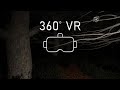Walk in Creepy Woods - 360 VR