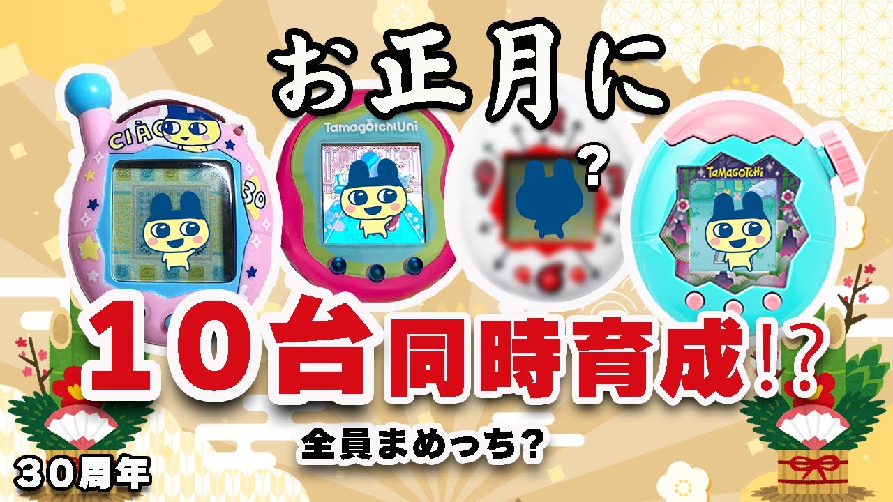 お正月にたまごっち10台同時育成したら全員まめっちになるのか？【30周年】