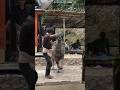 Cara tradisional Toraja #youtube #filmora