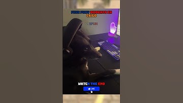 CS2FUN 🤣WATCH TNE END🤣TOP 52 MOMENTS #funny#cs2