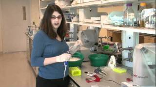 BLOSSOMS - Using DNA to Identify People