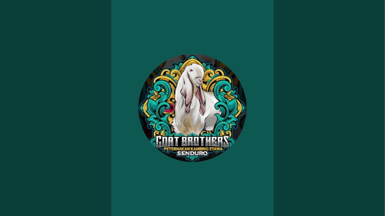 GOAT BROTHERS STOK BARU! PROMO🔥