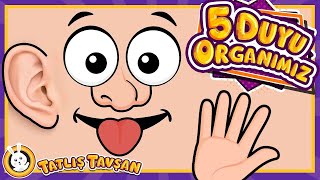 5 Duyu Organımızı Tanıyalım · Eğlenceli ve Eğitici Çocuk Şarkısı · Tatlış Tavşan