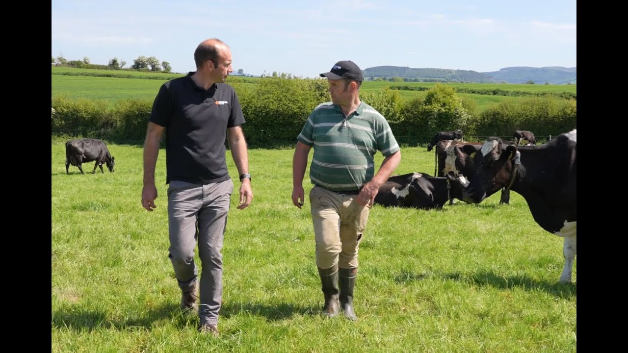 Graham Swanton speaks to David Hally about Breeding '25