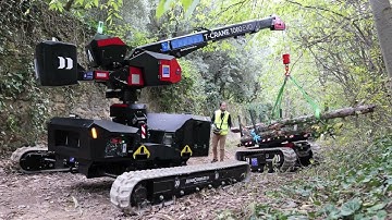 Multi-Loader 3.0 RT and T-Crane 1060 at Castel San Felice in Verona - Italy