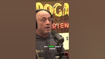 Gigantopithecus Unveiled! | #Shorts Discovery #artificialintelligence #joerogan #jre #podcast