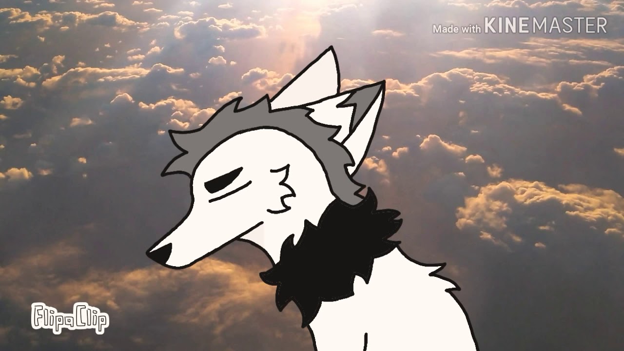 || L O S E R || Animation meme || - YouTube