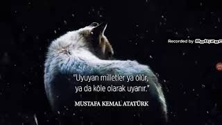 Börü Türkçe Rap