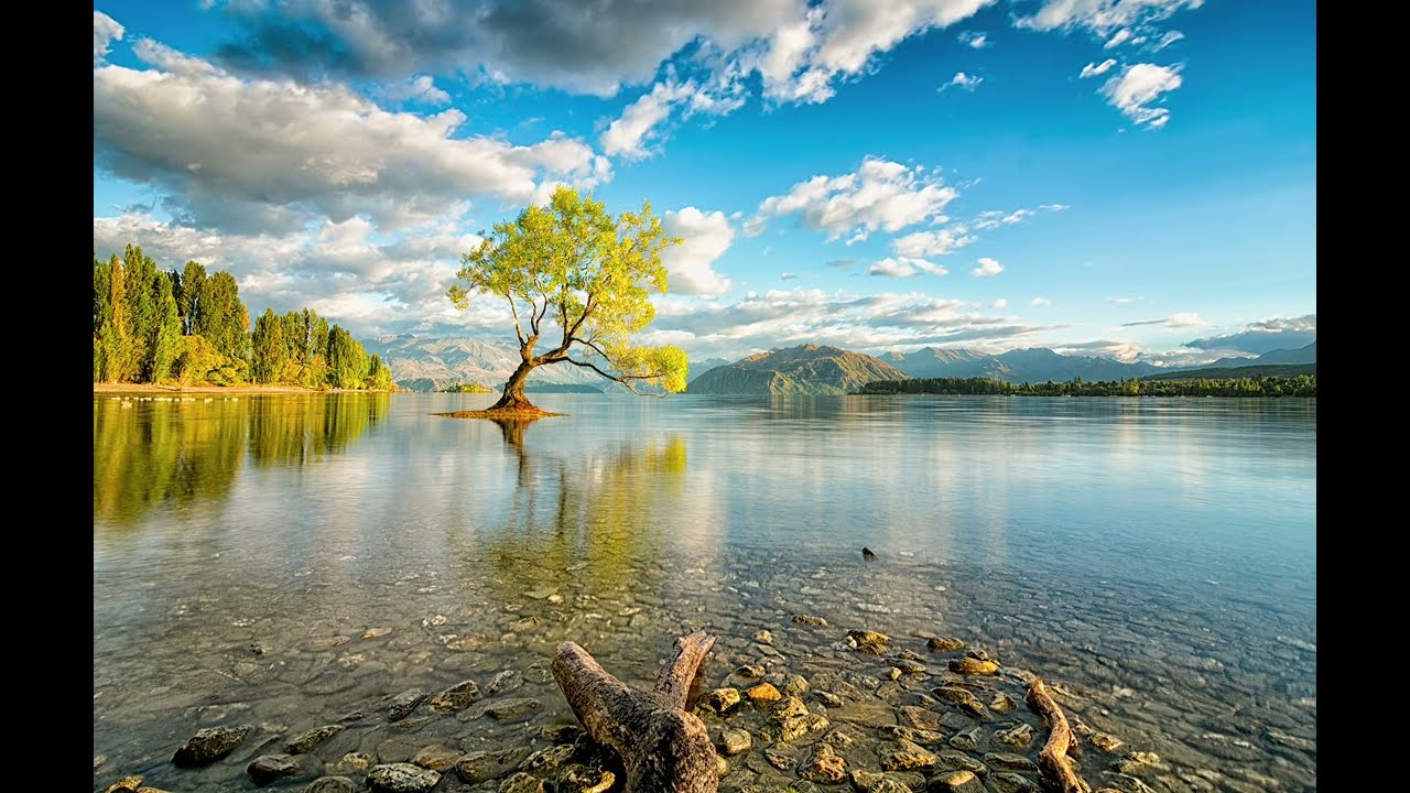 Mindful Focus  - Gamma Waves for Cognitive Enhancement- Monaural Beats - Focus Music