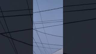 Famous Caught November 30 2024 Delta Airlines A321 took off from Albany International Airport New York Wealth