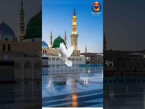 يا نبي سلام عليك ﷺ جديد إيقاع فقط 4K Nasheed