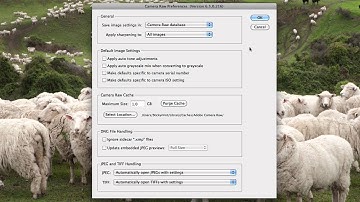 Camera Raw Preferences: How To Configure Them Correctly