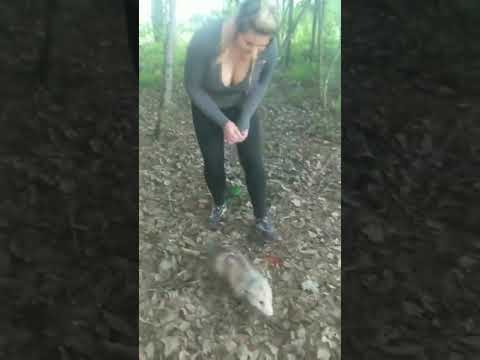 whitney wisconsin finds an armadillo