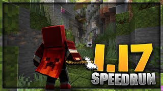 Minecraft 1.17 Speedrun | New Update