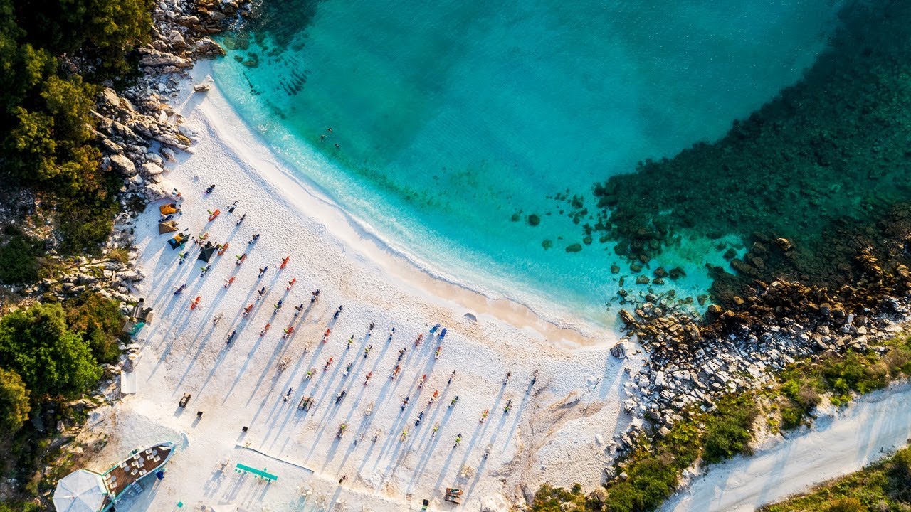 Oak Trees By Velvet Moon - IMUSIC 2018