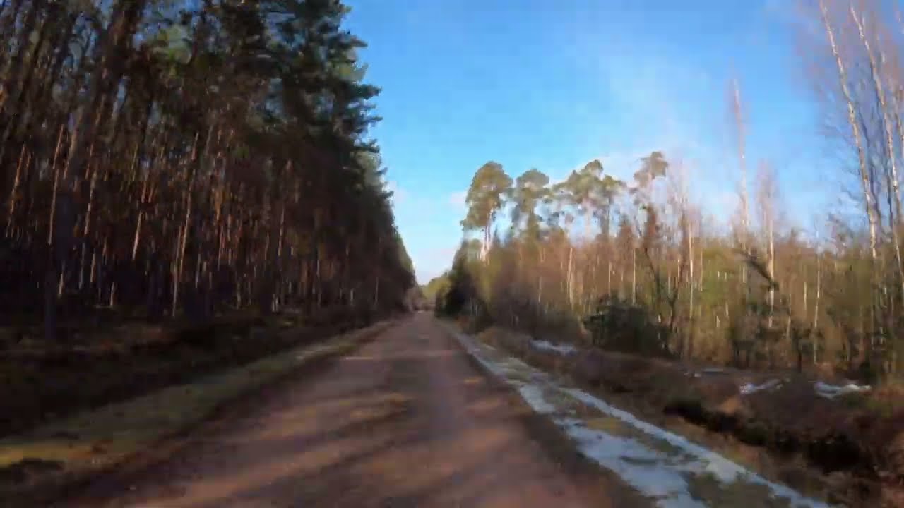 Trasa 5km - Tropem Wilczym. Bieg Pamięci Żołnierzy Wyklętych w Bliźnie - 2 marca 2025