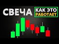 Свеча Криптовалюта - ТРЕЙДИНГ ДЛЯ НОВИЧКОВ